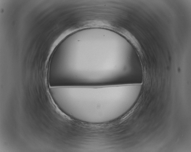 X0000087541102200704270917