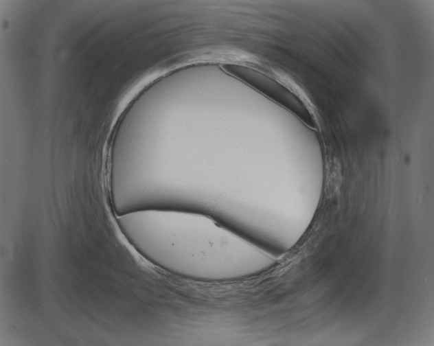 X0000087541103200704270917