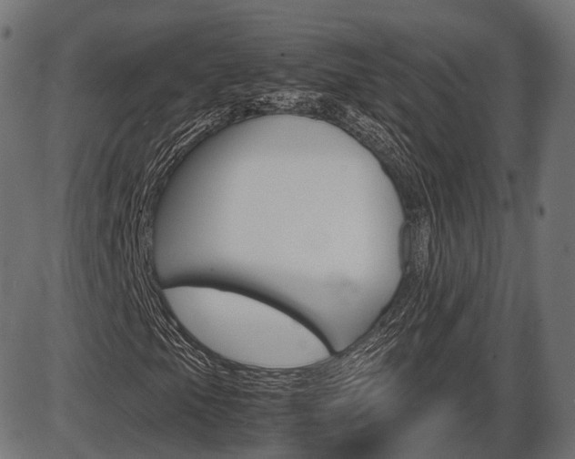 X0000087541105200704270917