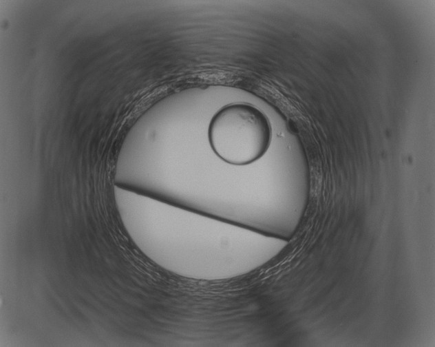 X0000087541106200704270917