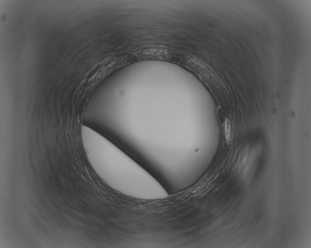 X0000087541107200704270917