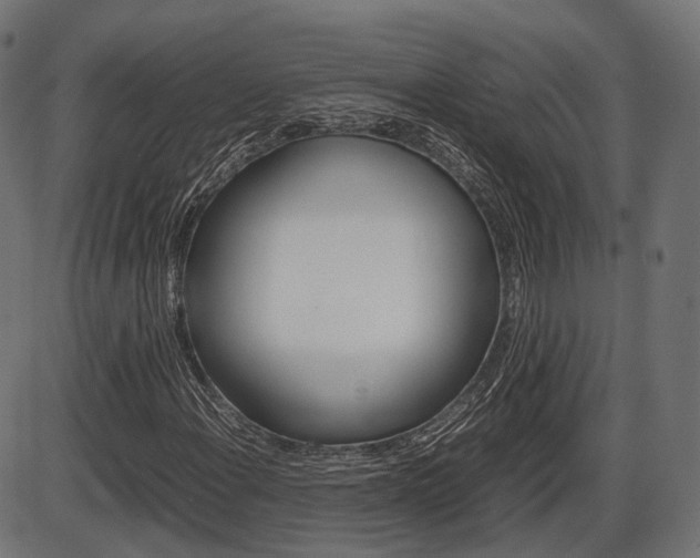 X0000087541108200704270917