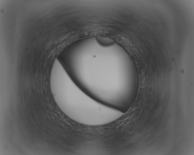 X0000087541109200704270917