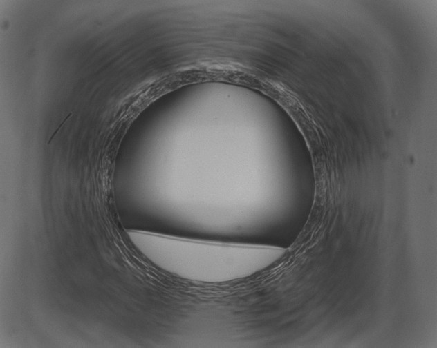 X0000087541110200704270917