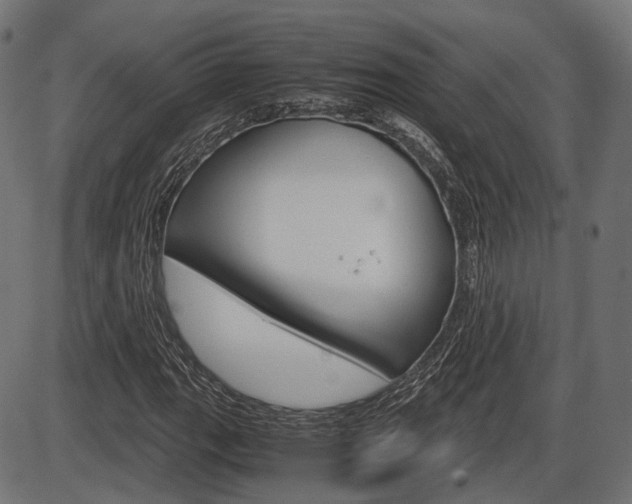 X0000087541111200704270917