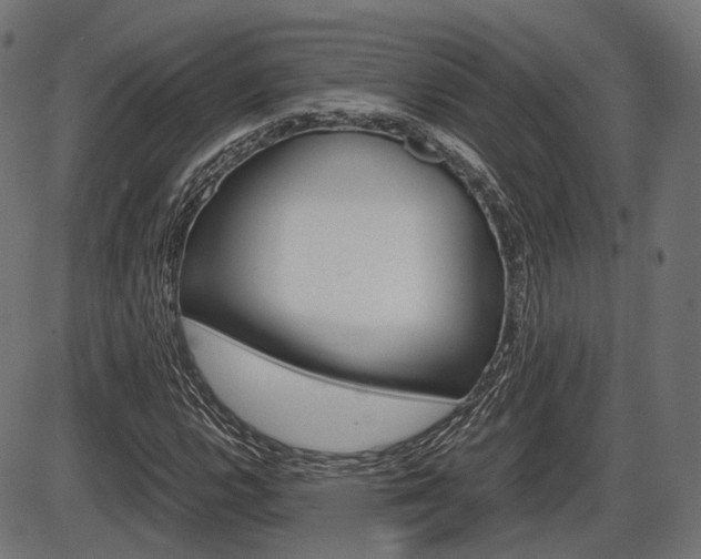 X0000087541112200704270917