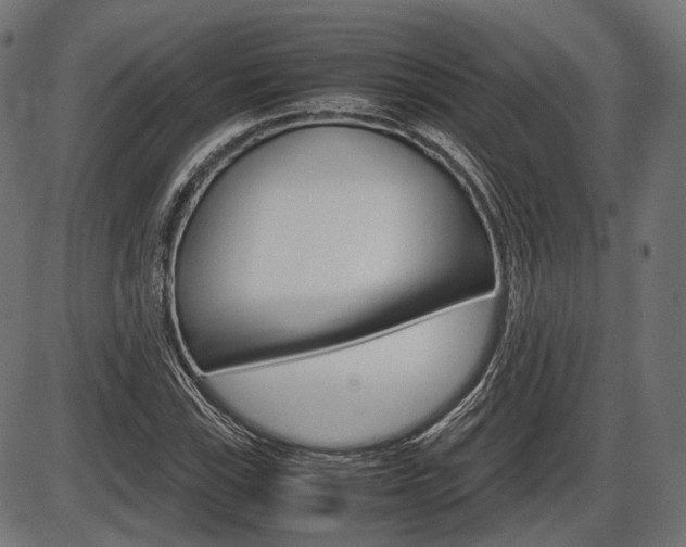 X0000087541115200704270917