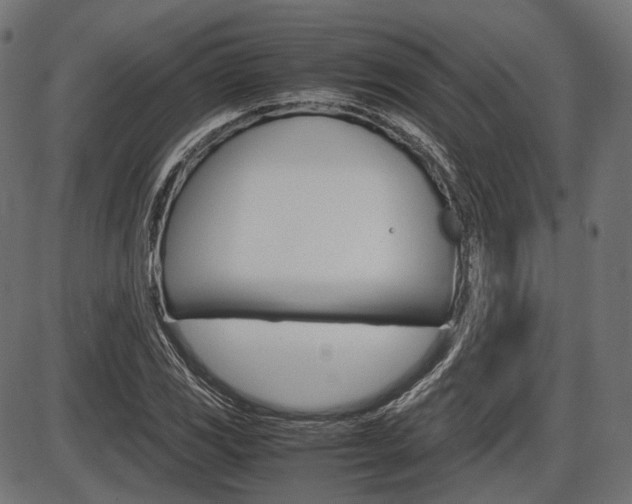 X0000087541117200704270917