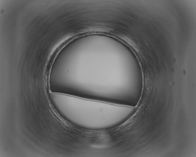 X0000087541119200704270917