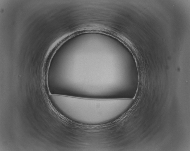 X0000087541120200704270917