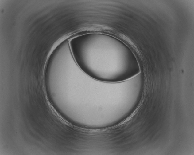 X0000087541122200704270917