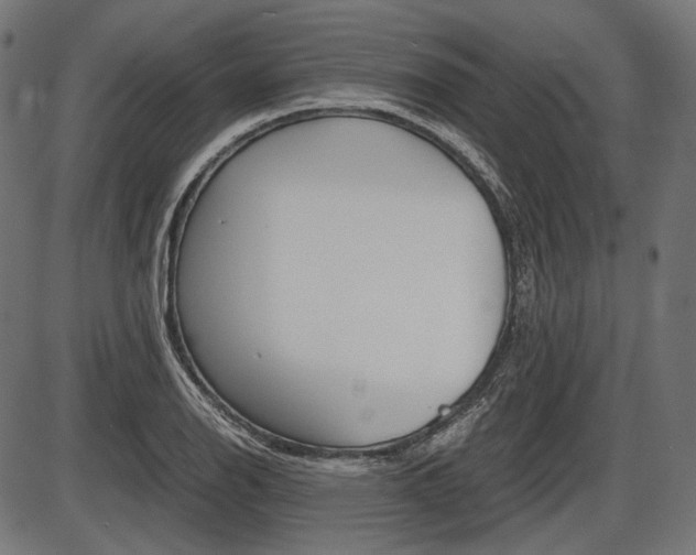 X0000087541126200704270917