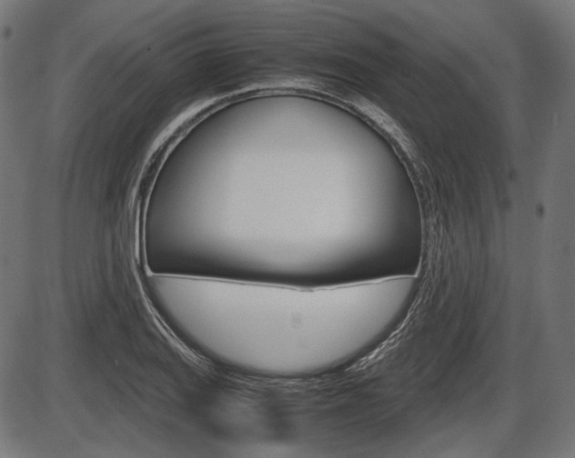 X0000087541127200704270917