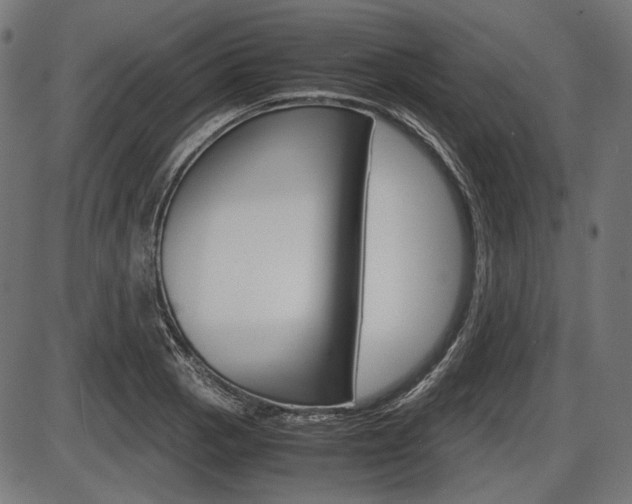 X0000087541129200704270917