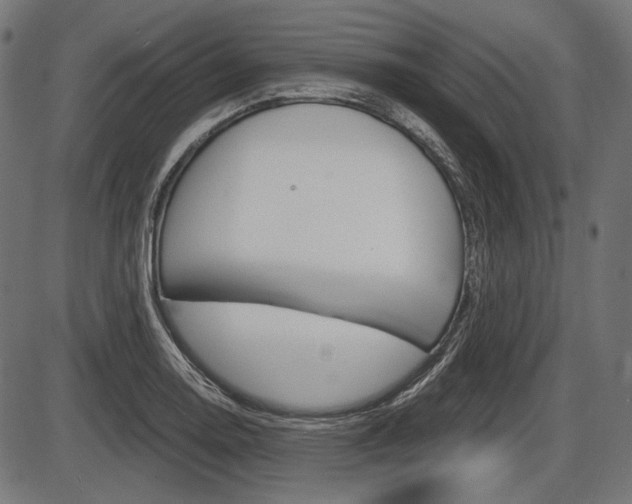 X0000087541130200704270917