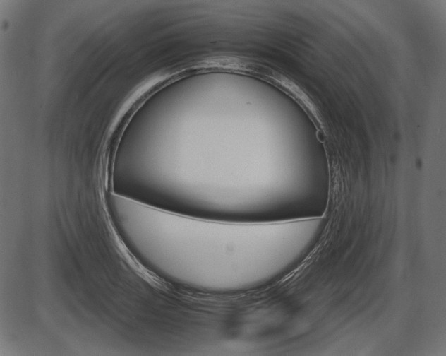 X0000087541131200704270917