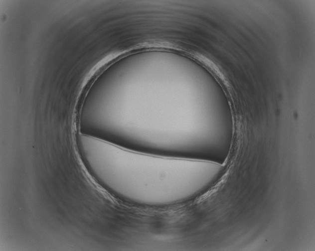 X0000087541133200704270917