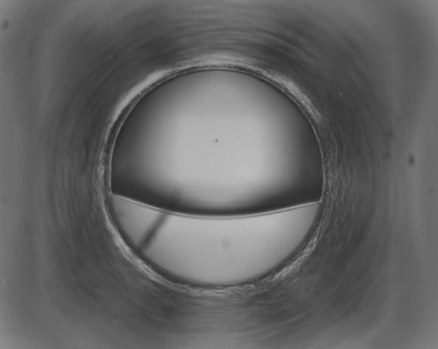 X0000087541134200704270917