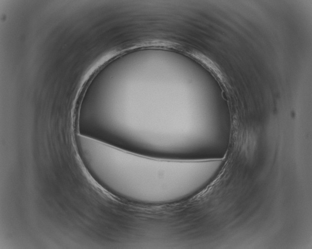 X0000087541135200704270917