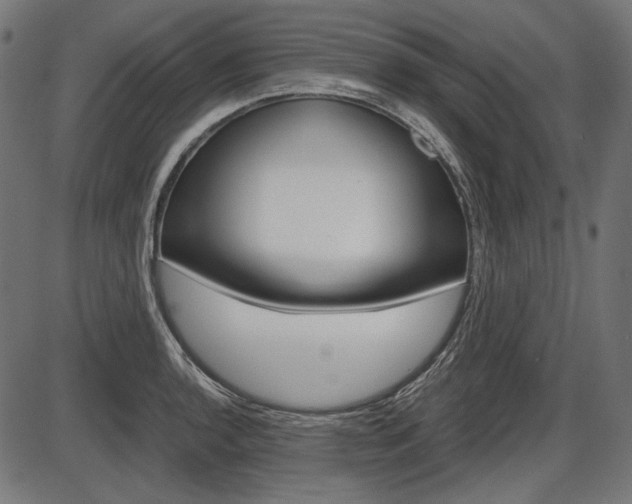 X0000087541136200704270917