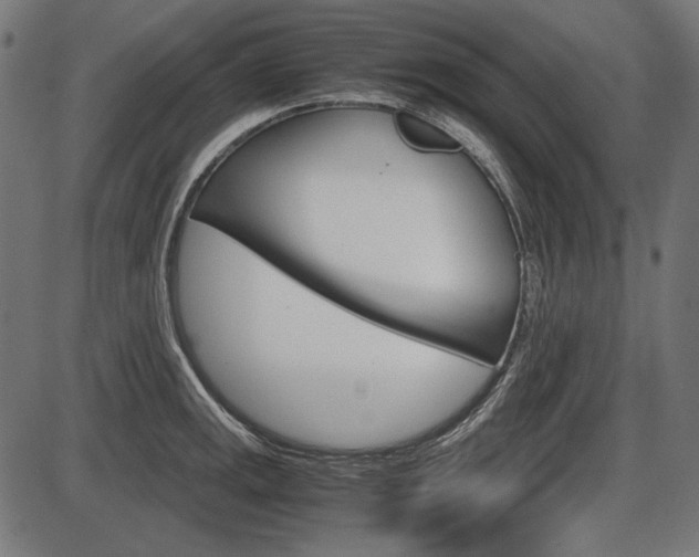 X0000087541141200704270917