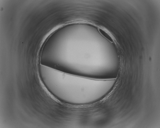 X0000087541142200704270917