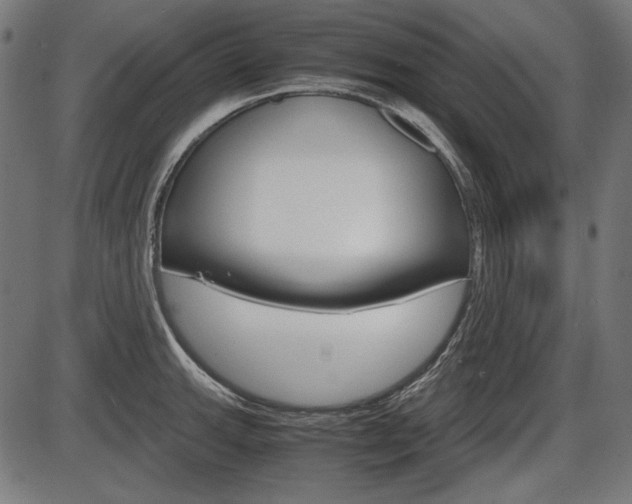 X0000087541143200704270917