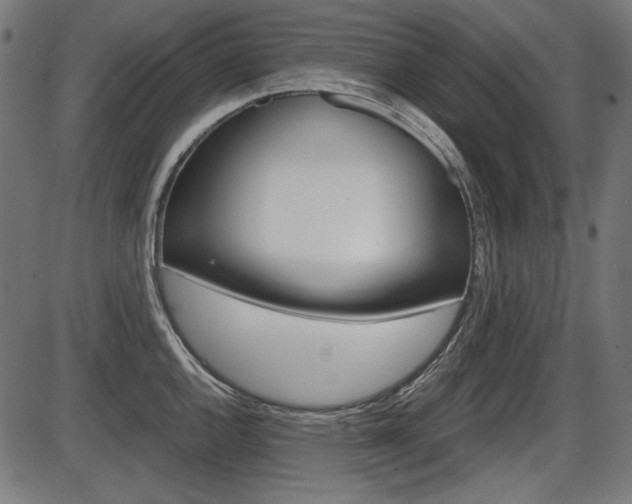 X0000087541144200704270917