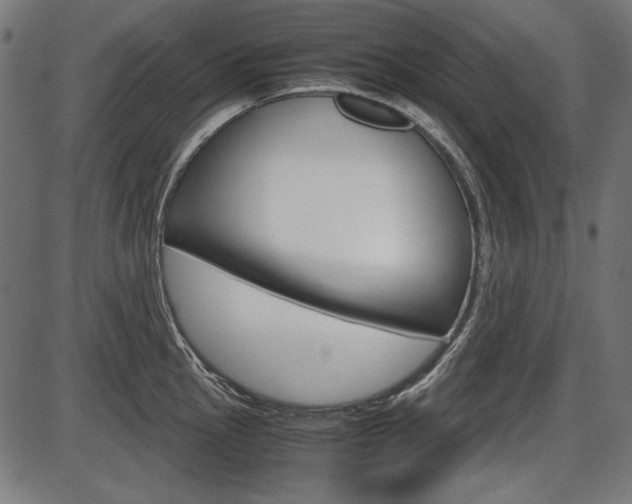 X0000087541145200704270917