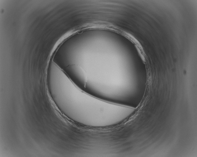 X0000087541146200704270917