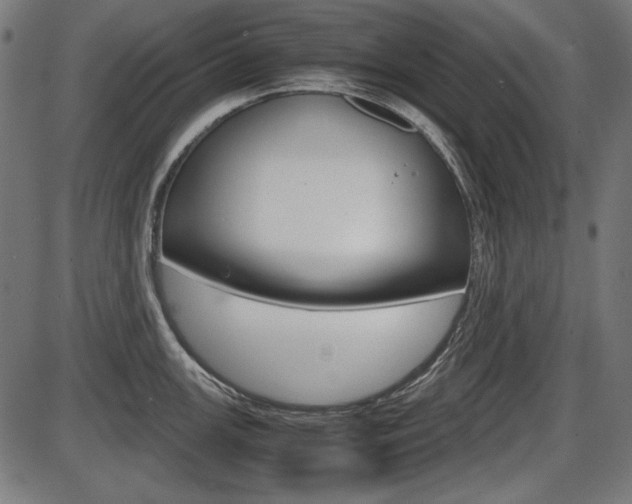 X0000087541147200704270917