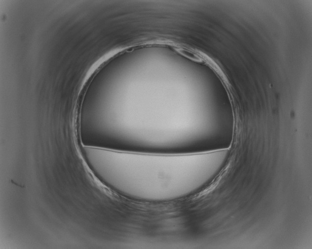 X0000087541149200704270917