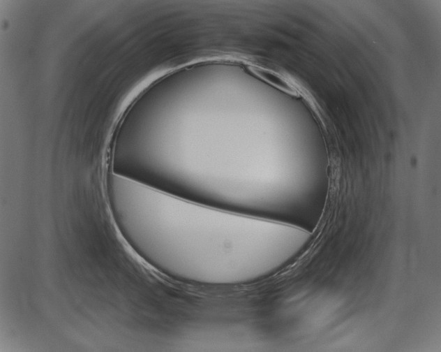 X0000087541151200704270917