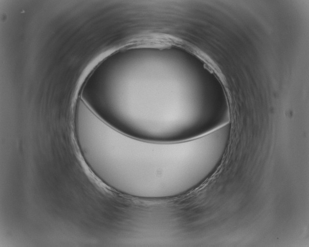 X0000087541152200704270917