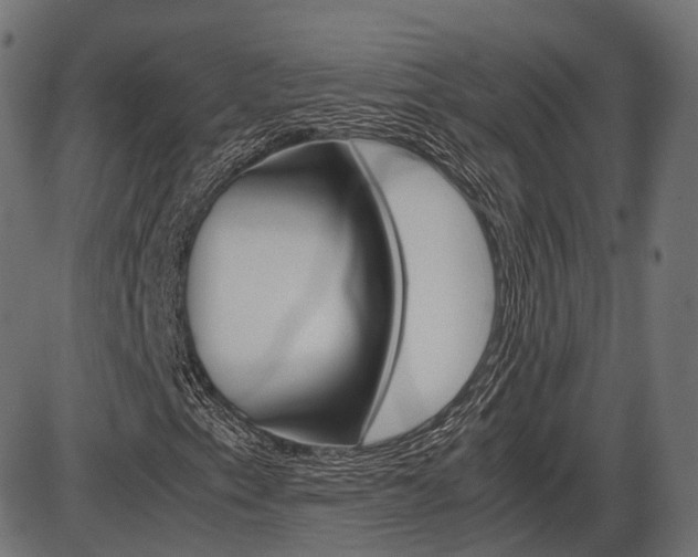 X0000087541153200704270917