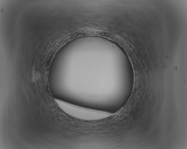 X0000087541157200704270916