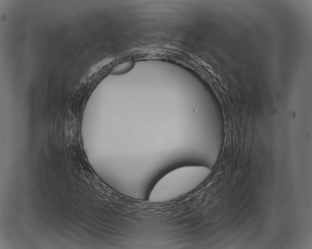 X0000087541158200704270916