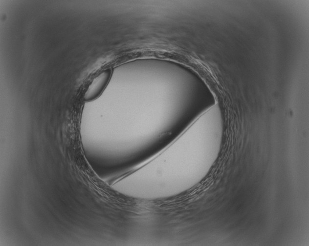 X0000087541159200704270916