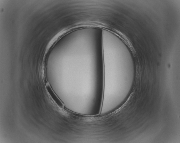 X0000087541188200704270916
