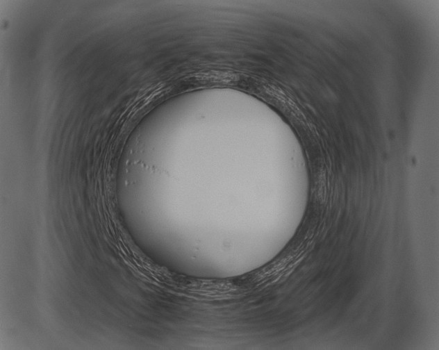 X0000087541201200704270915