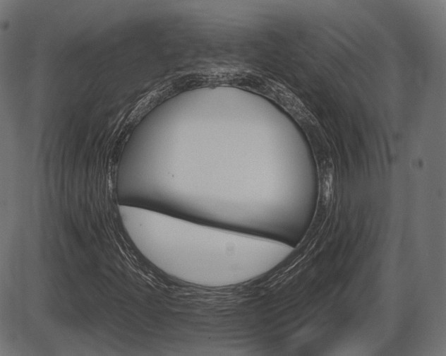 X0000087541204200704270915