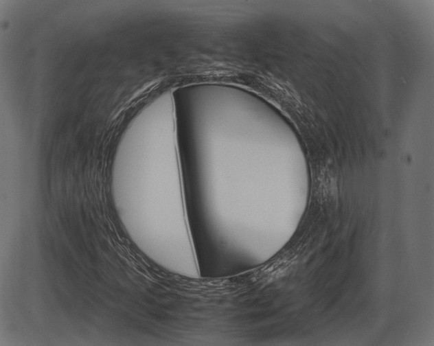 X0000087541205200704270915