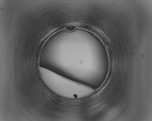 X0000087541209200704270915