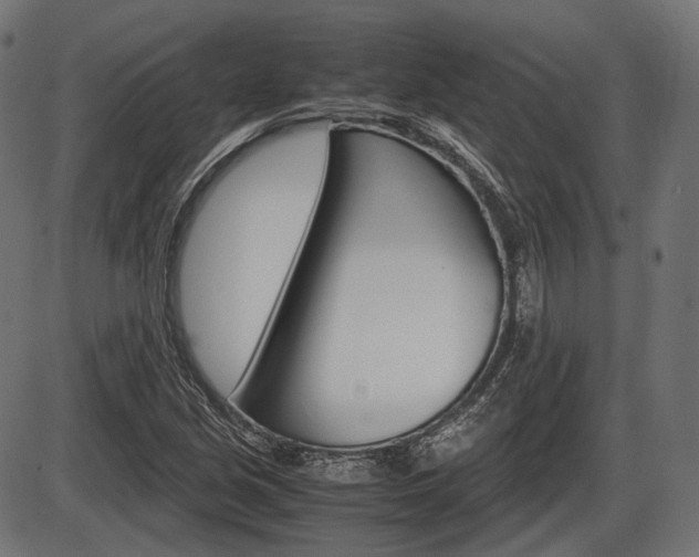 X0000087541213200704270915
