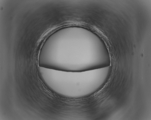 X0000087541215200704270915