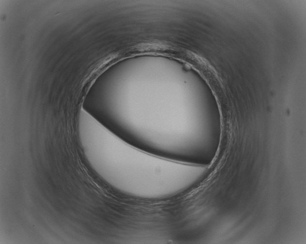 X0000087541217200704270915