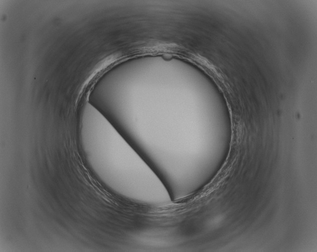 X0000087541219200704270915