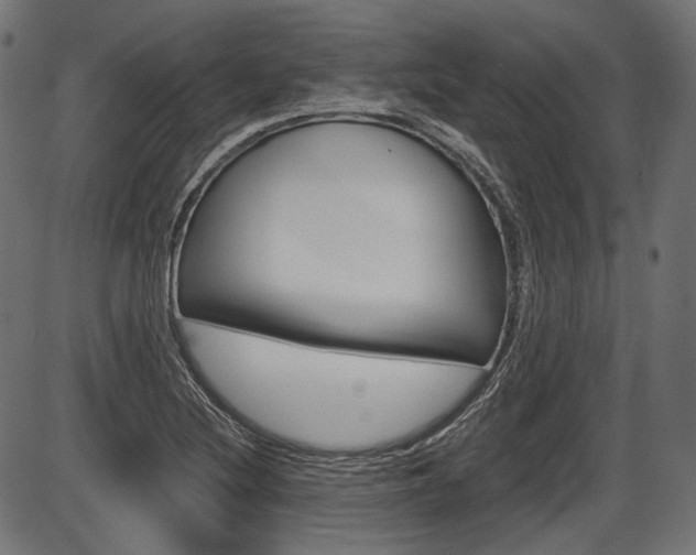 X0000087541220200704270915