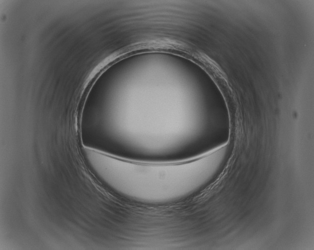 X0000087541226200704270915
