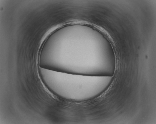 X0000087541231200704270915